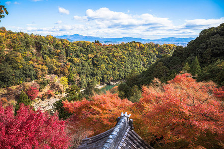 日本京都亚林山秋季山上多彩的红树林从森科寺庙观察点看背景图片