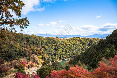 日本京都亚林山秋季山上多彩的红树林从森科寺庙观察点看图片