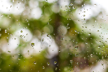 雨滴落在窗户和绿色自然背景上图片