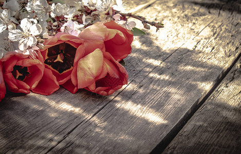 一束红色郁金香和白花图片