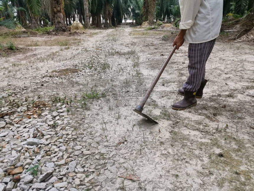 锄草的不知名男子图片