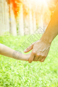大自然公园里孩子和父母的美丽双手背景图片