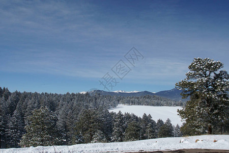 冬天下雪科罗拉多州有山图片
