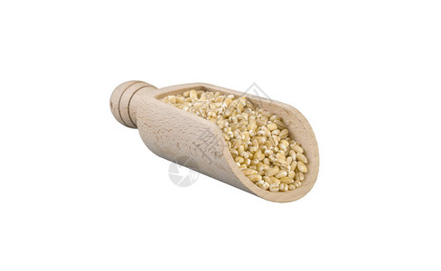 以白背景隔离的木勺中的珍珠大麦营养生物天然食物成分图片