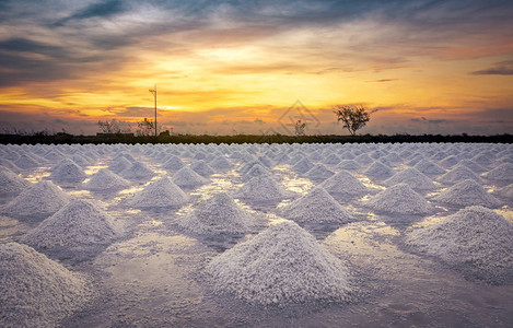 早晨的盐场与日出的天空有机海盐海水的蒸发和结晶盐工业原料氯化钠太阳能蒸背景图片