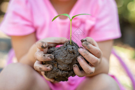 可爱的孩子植树以帮助防止全球变暖或气候变化并拯救地球图片