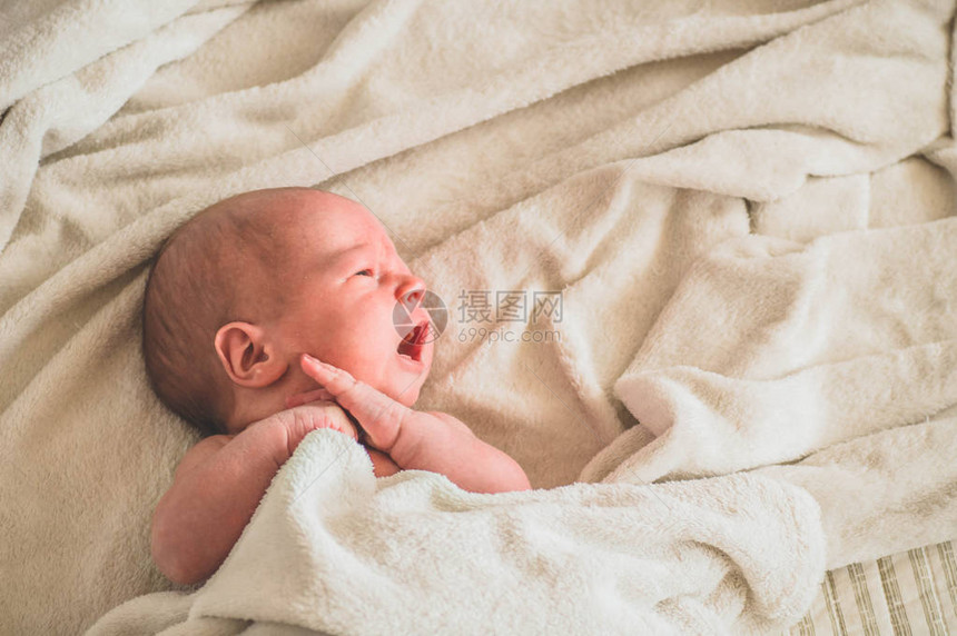 可爱的新生婴儿男婴睡着了图片