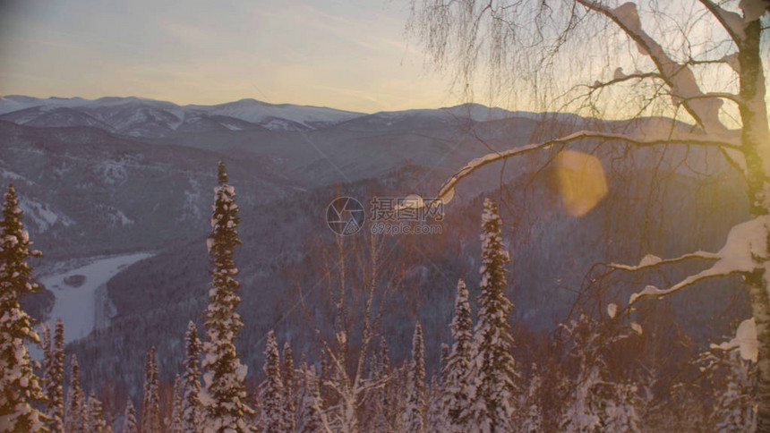 西伯利亚山脉冬季森林的全景图片