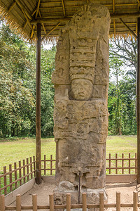 危地马拉Quirigua古玛雅考古遗址MayanSt图片