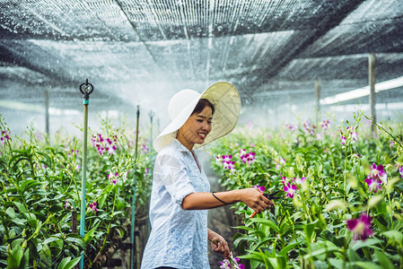 园丁女人亚洲在兰图片