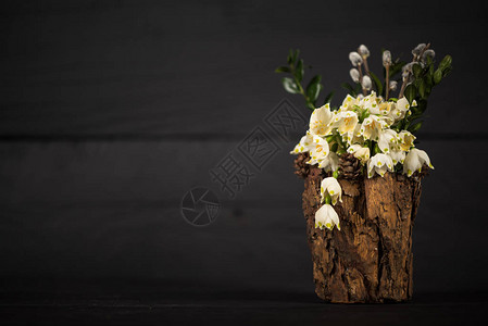 装饰花瓶中的Leucojum图片