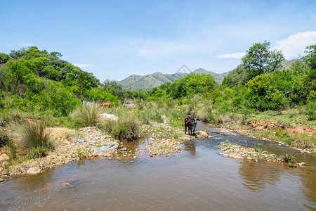 南非Mpumalanga农村Mpumalang图片