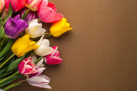 棕色背景上多色郁金香的明亮春天花束图片