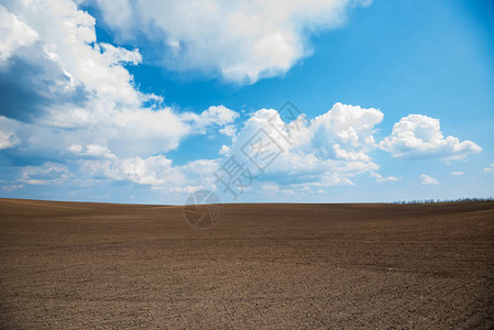 春田空旷蓝天白云的自然景观图片