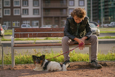 和狗一起坐在长椅上的悲伤的孤单男人青春期在沟通概念方面的困难图片