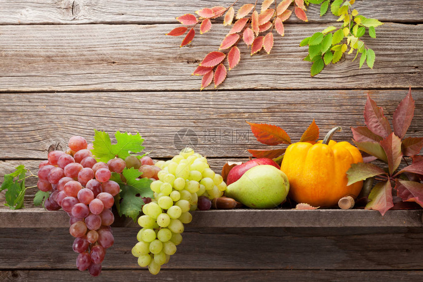 有南瓜苹果梨子葡萄和彩色叶子的秋季生活图片