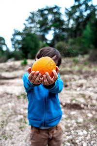 男孩拿着一个橘子孩子给妈一个橘子男孩穿过树林柑橘类水果在图片