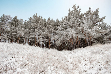 从山底的雪景周围冰霜冻硬的冰霜中灰色单极天空图片