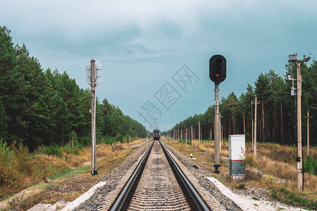 铁路车厢在森林里由铁轨行驶电线杆沿着铁轨大气复古铁路背景图片