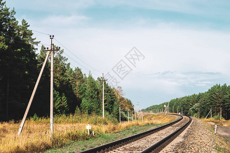铁路沿线的电力线在阳光下沿着铁轨的电线杆针叶林附近的电线杆背景图片