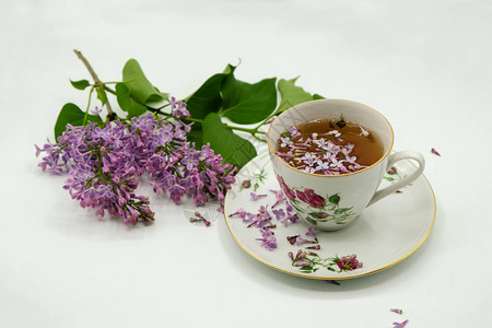 紫色薄膜和瓷器茶杯的分枝茶叶表面的花朵复制图片