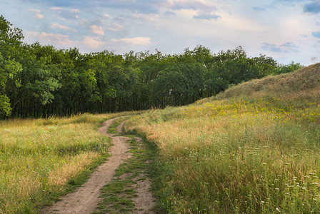 乌克兰农村地区夏季的晚间风景校对P图片