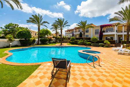 游泳池躺椅和棕榈树是度假的天堂图片