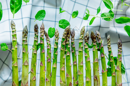 新鲜绿色的Asparagus和Basil树叶图片