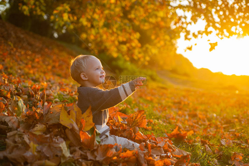 秋天的温暖时刻蹒跚学步的男孩蓝眼睛享受秋天阳光明媚的秋日小婴儿蹒跚学步温暖和舒适快乐的童年甜蜜的童年回忆图片