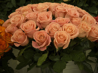 花店里一束美丽的粉红玫瑰图片