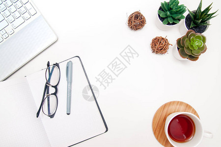 工作区与笔记本电脑笔记本速写本肉质植物白色背景的茶杯图片