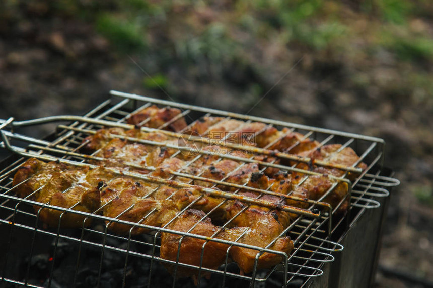 腌肉块在火盆的烤架上余烬户外烧烤肉串自然烤野餐图片