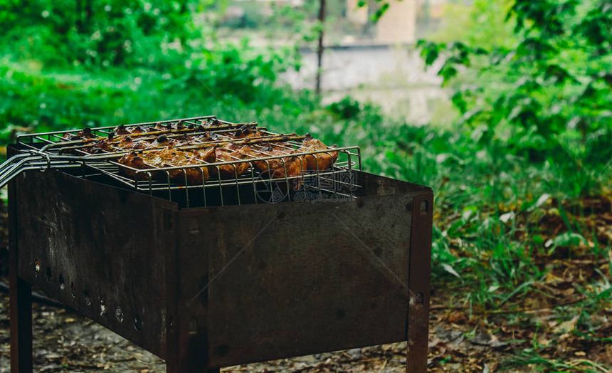 腌肉块在盆的烤架上余烬户外烧烤肉串自然烤野餐侧视图关闭图片