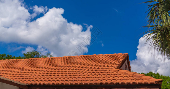 传统的红瓷砖屋顶在图片