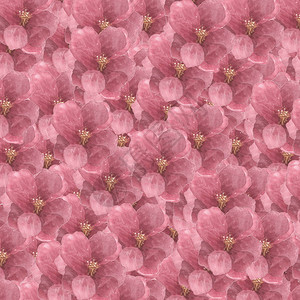 Hydrangea的广场花朵模图片