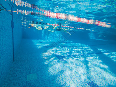 健康体育活动在水下游泳和有线图片