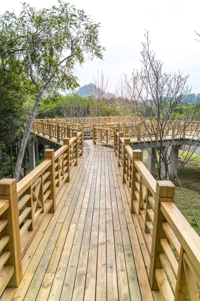 木桥和公园背景图片