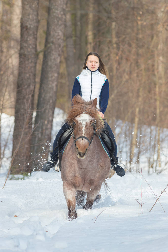 一个年轻女子骑着棕色马在冬季森林图片
