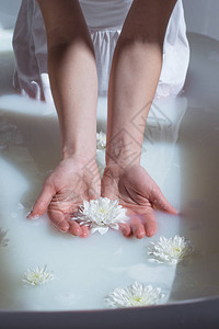 带泡沫和鲜花的天然奶水浴中女手背景