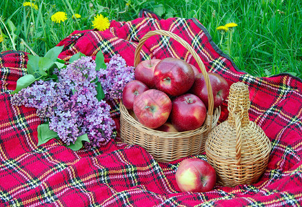 花园里柳条篮里的新鲜红苹果在草地上野餐成熟的苹果和一瓶酒格子在草地上图片