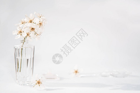 一瓶透明的香水和一朵白色鲜花图片