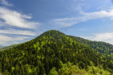 山中的自然景观图片