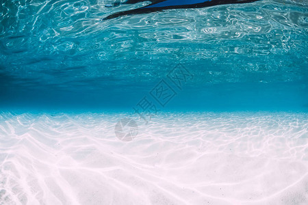 热带蓝色海洋夏威夷水下有白图片