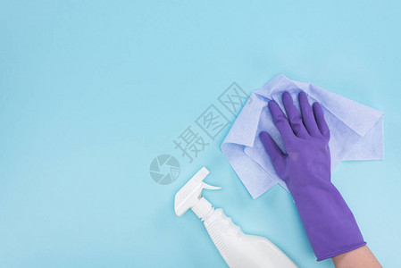 紫色橡胶手套中的清洁剂图片