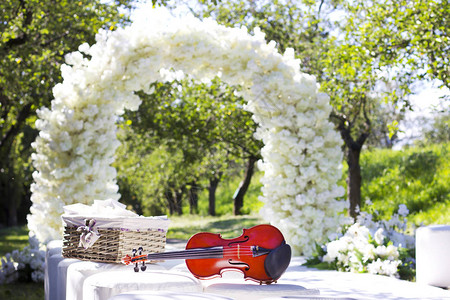 婚礼拱门背景上的比林语音乐器图片