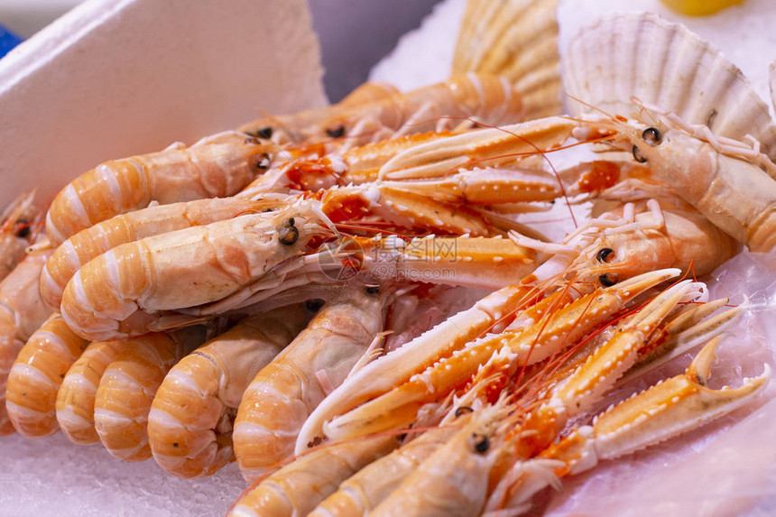 群海螯虾也被称为小龙虾挪威龙虾都柏林湾对虾冰上传统优质美味天然图片