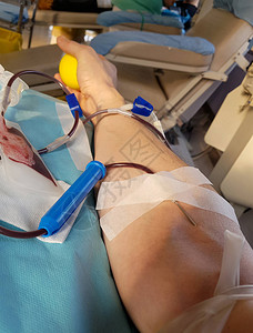 志愿者在医院病房床上献血时的手图片