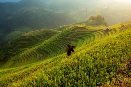 越南农民在MuCangChai越南的图片