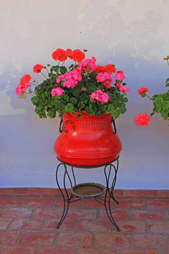 在房子的露台上用红色的花朵装饰陶罐背景中的白墙和前景中的棕色砖地板阳光明媚的夏日墨西哥哈利斯科州圣塞巴斯蒂安德尔奥斯特历史悠图片