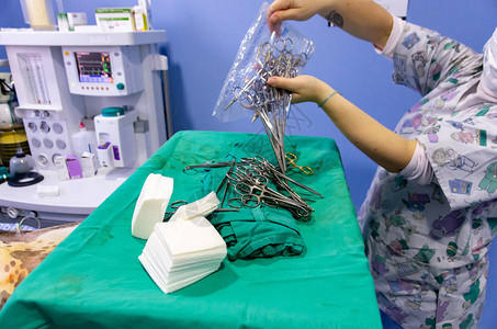 在用背景麻醉机对狗进行手术前开具手术消图片